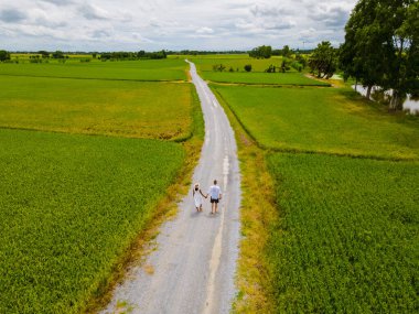 Drone aerial view of green paddy rice field in Thailand, men and woman walking road between rice fields