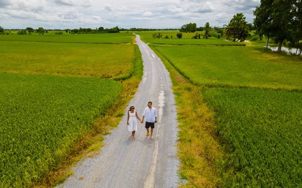 Drone aerial view of green paddy rice field in Thailand, men and woman walking road between rice fields