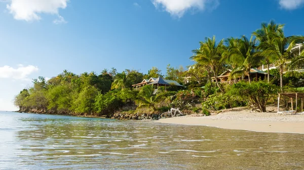 Tropical Beach Saint Lucia Caribbean White Tropical Beach Luxury Resort — Foto Stock