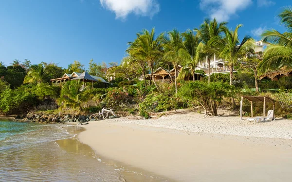 Tropical Beach Saint Lucia Caribbean White Tropical Beach Luxury Resort — Stockfoto