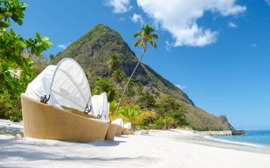 Sugar beach Saint Lucia, is a public white tropical beach with palm trees and luxury beach chairs on the beach of the Island St Lucia Caribbean. 