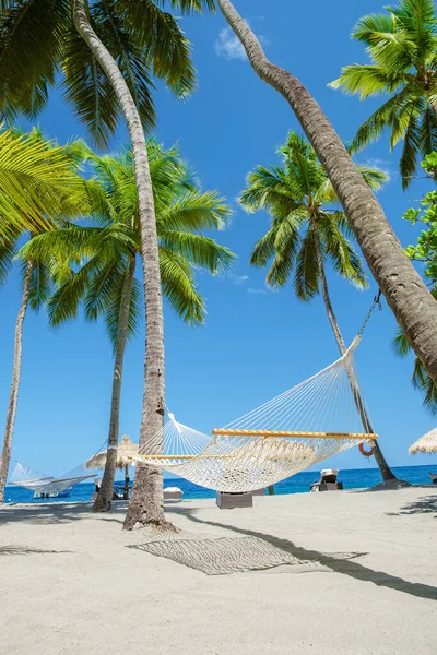 hammock with palm trees in a blue sky at the Caribbean St Lucia Island or Saint Lucia