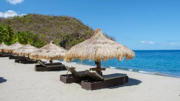Beach Chairs Umbrellas Tropical Beach Lucia White Beach Palm Trees — Stockfoto
