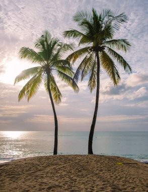 sunset on the beach with palm trees watching the sunset at the tropical beach of Saint Lucia or St Lucia Caribbean. vacation in St Lucia a tropical island with palm trees