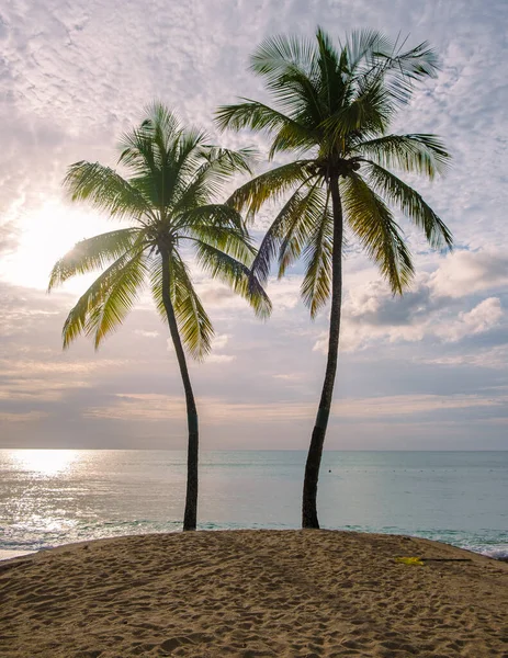 sunset on the beach with palm trees watching the sunset at the tropical beach of Saint Lucia or St Lucia Caribbean. vacation in St Lucia a tropical island with palm trees