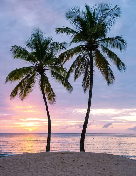 sunset on the beach with palm trees watching the sunset at the tropical beach of Saint Lucia or St Lucia Caribbean. vacation in St Lucia a tropical island with palm trees