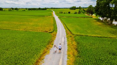 Drone aerial view of green paddy rice field in Thailand, men and woman walking road between rice fields