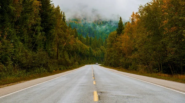Road with orange autumn trees in Canada BC, beautiful trees during Autumn. road in British Colombia during fall season