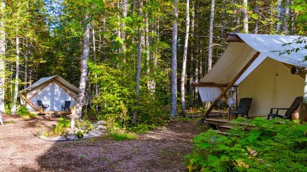 Tent Forest Safari Tent Woods Forest Tent British Colombia Canada — Foto de Stock