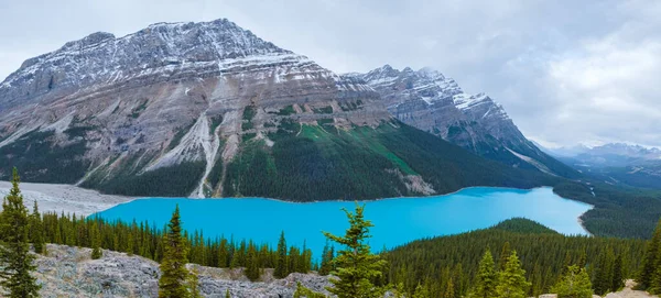 Lake Peyto Banff National Park Canada Mountain Lake Fox Head — Foto de Stock