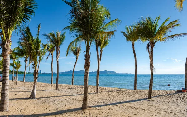 Ban Amphur Beach Pattaya Thailand Beach Beautiful Palm Trees Blue — Stock fotografie