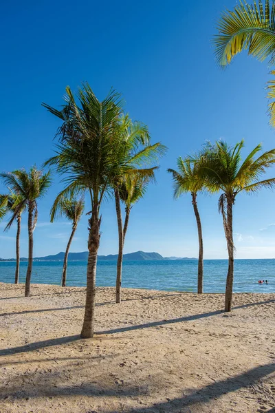 Ban Amphur Beach Pattaya Thailand, a beach with beautiful palm trees and a blue ocean in Pattaya Thailand