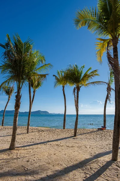Ban Amphur Beach Pattaya Thailand, a beach with beautiful palm trees and a blue ocean in Pattaya Thailand