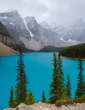  Lake moraine during a cold snowy day in Autumn in Canada, Beautiful turquoise waters of the Moraine lake with snow. Banff National Park of Canada Canadian Rockies