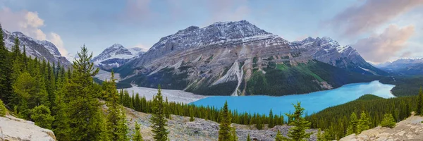 Lake Peyto Banff National Park Canada Mountain Lake Fox Head — Stock Fotó