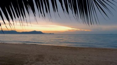 sunset on the beach in Pattaya during sunset in Thailand Ban Amphur beach, a tropical beach with palm tree during sunset
