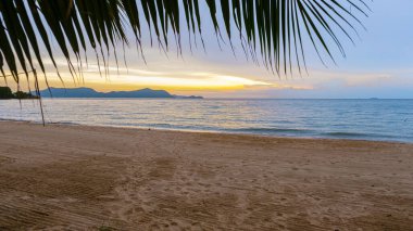 Beach in Pattaya during sunset in Thailand Ban Amphur beach. a tropical beach with palm trees during sunset