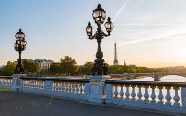Alexander bridge Paris, view of the famous landmark Alexander III bridge in Paris, the capital of France. 