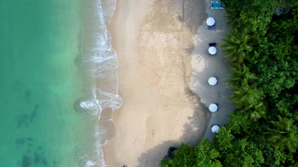 Drone Aerial View Beach Beach Chairs Umbrella Tropical Island Koh — Stockvideo