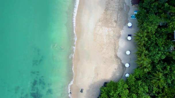Лінійка Пляжі Пляжними Кріслами Парасолькою Тропічному Острові Кох Ланта Крабі — стокове відео