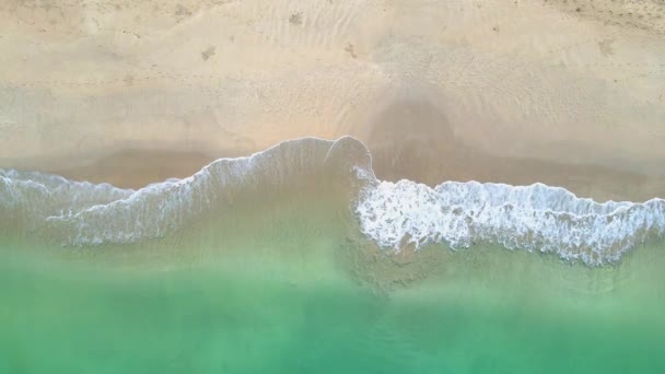 Drone Aerial View Beach Beach Chairs Umbrella Tropical Island Koh — Vídeo de Stock
