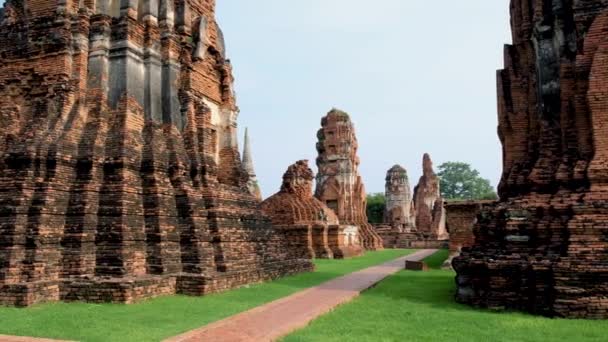 Ayutthaya Thailand Wat Mahathat Temple Stupa Pagoda Morning Ayyuthaya Thailand — Stock Video