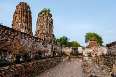 Ayutthaya, Thailand at Wat Mahathat, Temple stupa pagoda in the morning Ayyuthaya Thailand. 