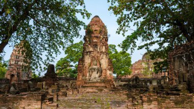 Ayutthaya, Thailand at Wat Mahathat, Temple stupa pagoda in the morning Ayyuthaya Thailand. 