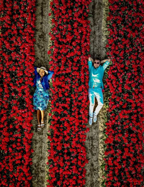 Mężczyźni Kobiety Polach Kwiatowych Widziani Góry Dronem Holandii Pola Tulipanów — Zdjęcie stockowe
