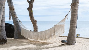 Tayland Hua Hin 'deki tropik bir sahilde palmiye ağaçlarının altında beyaz hamak. Huahin 'deki tropik plajda, okyanus kıyısında beyaz bir plajda hamak var.