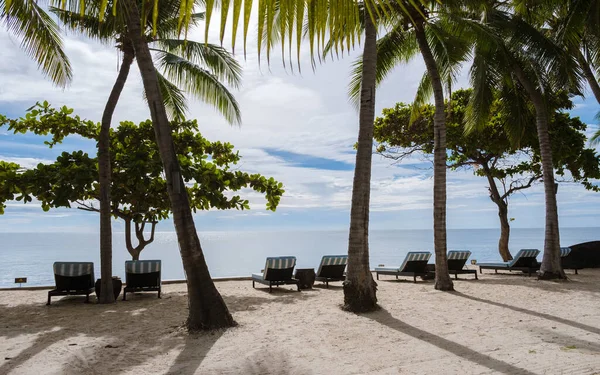 在泰国华欣的一个白色海滩上 有棕榈树和海滩椅子的热带海滩 棕榈树和海滩椅 — 图库照片