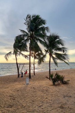 Dongtan Beach Pattaya Jomtien Tayland, gün batımında plajda palmiye ağaçları ve sahilde salıncakta sallanan çocuklar.