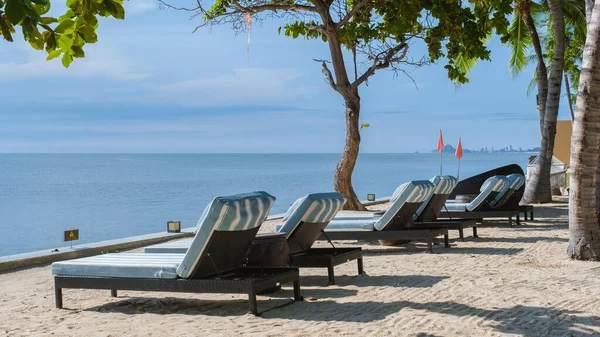Lüks Bir Tatil Köyünde Palmiye Ağaçları Plaj Sandalyeleri Olan Tropik — Stok fotoğraf