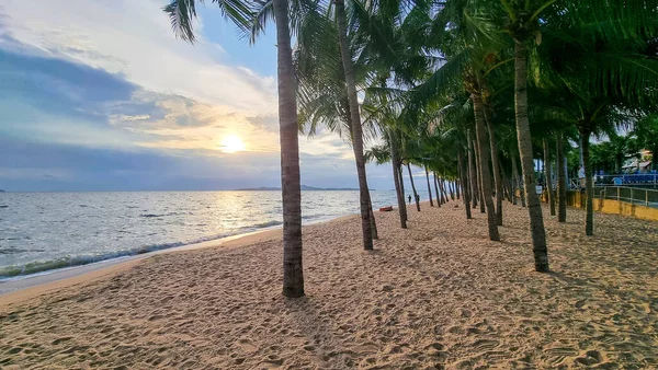 Dongtan Beach Pattaya Jomtien Thaïlande Palmiers Sur Plage Coucher Soleil — Photo