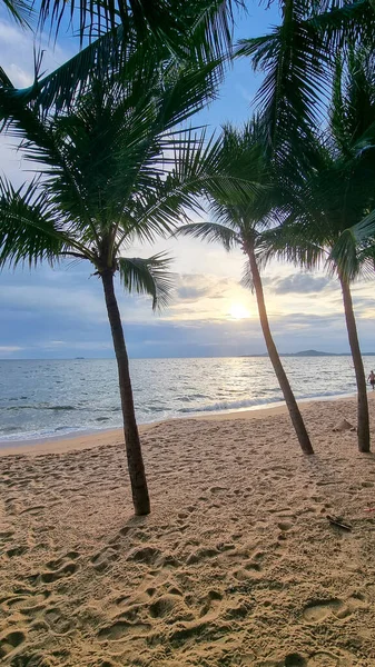 Dongtan Beach Pattaya Jomtien Thailand Palmbomen Het Strand Tijdens Zonsondergang — Stockfoto