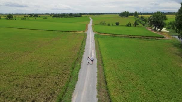 Couple Men Women Walking Road Green Rice Fields Green Rice — Vídeos de Stock