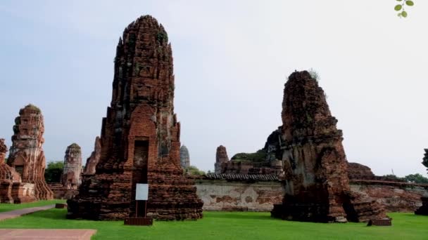 Ayutthaya Tayland Wat Mahathat Ayutthaya Eski Bir Pagoda — Stok video