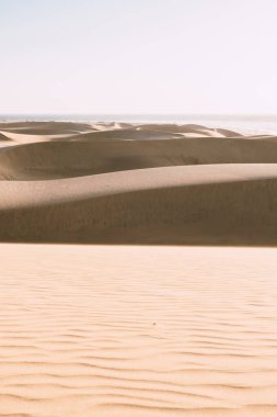 Güneş doğarken Maspalomas Gran Canaria 'nın kum tepeleri. Gran Canaria çölünde güzel kum tepecikleri
