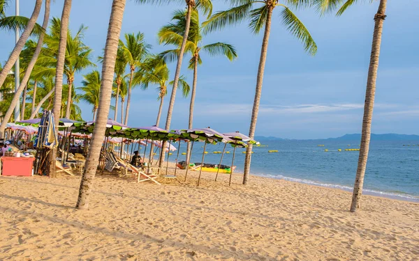 Palmeras Playa Playa Jomtien Pattaya Tailandia Durante Atardecer Tarde —  Fotos de Stock