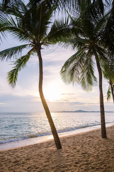 Dong Tan Beach Jomtien Pattaya Thailand Tijdens Middag Zonsondergang Palmbomen — Stockfoto