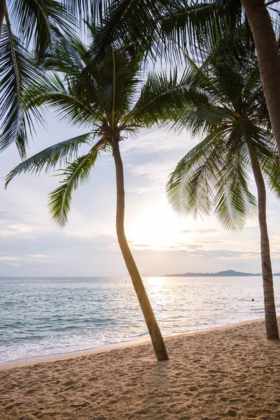 Dong Tan Beach Jomtien Pattaya Thailand Tijdens Middag Zonsondergang Palmbomen — Stockfoto