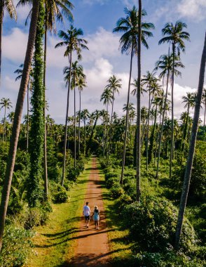 Erkekler ve kadınlar Koh Mak Tayland tropik adasında palmiye ağaçlarıyla yolda yürüyorlar. Tayland 'da bir adada palmiye ağaçlarının insansız hava görüntüsü