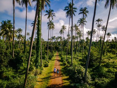 Erkekler ve kadınlar Koh Mak Tayland tropik adasında palmiye ağaçlarıyla yolda yürüyorlar. Tayland 'da bir adada palmiye ağaçlarının insansız hava görüntüsü