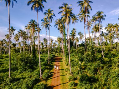 Erkekler ve kadınlar Koh Mak Tayland tropik adasında palmiye ağaçlarıyla yolda yürüyorlar. Tayland 'da bir adada palmiye ağaçlarının insansız hava görüntüsü