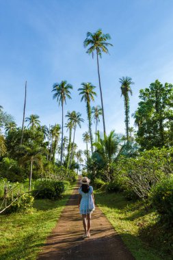 Erkekler ve kadınlar Koh Mak Tayland tropik adasında palmiye ağaçlarıyla yolda yürüyorlar. Tayland 'da bir adada palmiye ağaçlarının insansız hava görüntüsü
