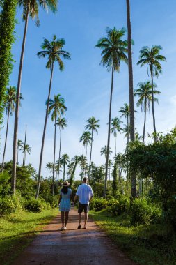 Erkekler ve kadınlar Koh Mak Tayland tropik adasında palmiye ağaçlarıyla yolda yürüyorlar. Tayland 'da bir adada palmiye ağaçlarının insansız hava görüntüsü