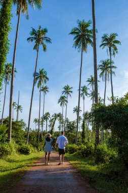 Erkekler ve kadınlar Koh Mak Tayland tropik adasında palmiye ağaçlarıyla yolda yürüyorlar. Tayland 'da bir adada palmiye ağaçlarının insansız hava görüntüsü