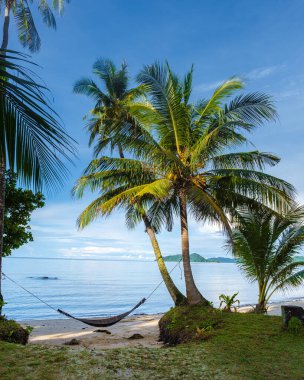 Koh Mak Tayland adasında palmiye ağaçları ve mavi bir okyanusu olan beyaz bir sahil.. 