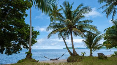 Koh Mak Tayland adasında palmiye ağaçları ve mavi bir okyanusu olan beyaz bir sahil.. 