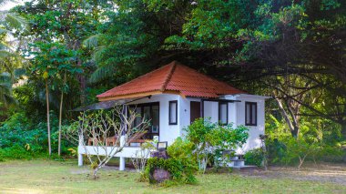 Koh Mak Tayland Ekim 2022, plaj köşkü palmiye ağaçları ile. 